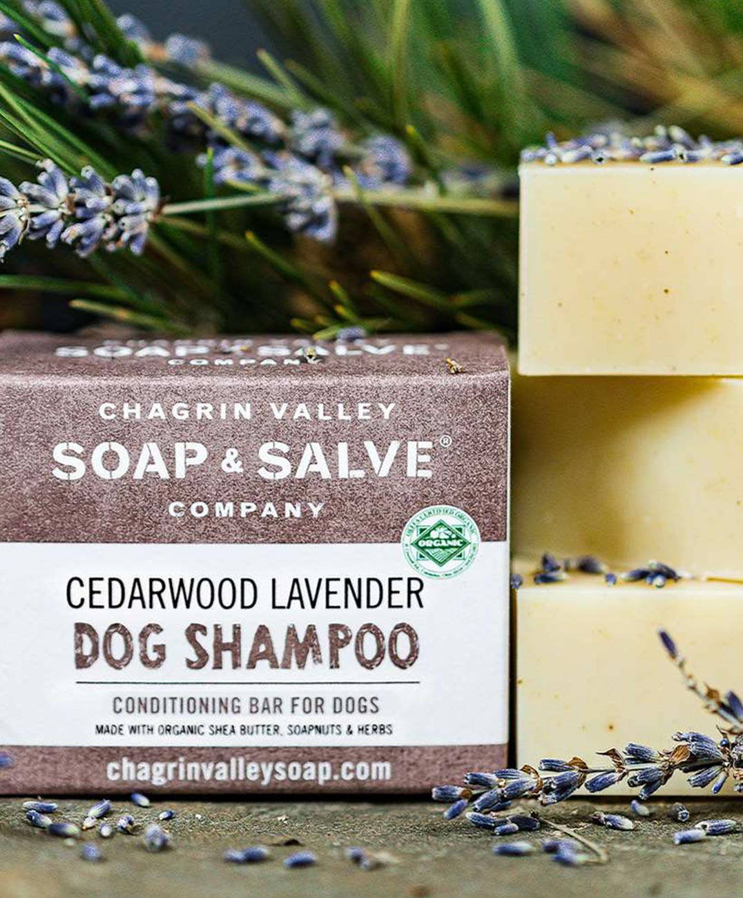 Cedarwood Lavendar Dog Shampoo