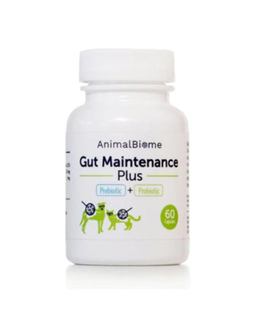 Gut Maintenance Plus