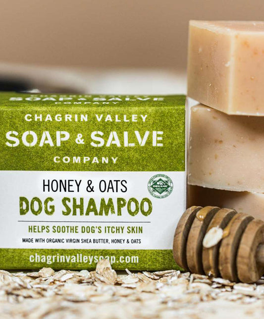 Honey and Oats Dog Shampoo