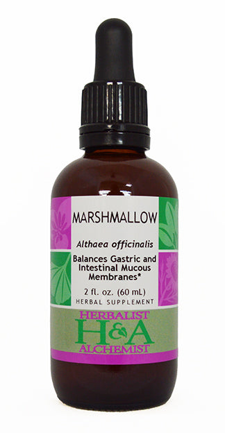 Marshmallow Root